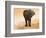 Artistic Rendition Elephant in Dust and Sunglow-Sheila Haddad-Framed Photographic Print