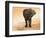 Artistic Rendition Elephant in Dust and Sunglow-Sheila Haddad-Framed Photographic Print