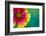 Artistic Rendition of Indian Blanket Flower-Rona Schwarz-Framed Photographic Print