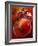 Artistic Still Life with Whole and Half Pomegranate-Dieter Heinemann-Framed Photographic Print