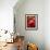 Artistic Still Life with Whole and Half Pomegranate-Dieter Heinemann-Framed Photographic Print displayed on a wall