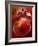 Artistic Still Life with Whole and Half Pomegranate-Dieter Heinemann-Framed Photographic Print