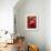 Artistic Still Life with Whole and Half Pomegranate-Dieter Heinemann-Framed Photographic Print displayed on a wall