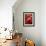 Artistic Still Life with Whole and Half Pomegranate-Dieter Heinemann-Framed Photographic Print displayed on a wall