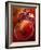 Artistic Still Life with Whole and Half Pomegranate-Dieter Heinemann-Framed Photographic Print