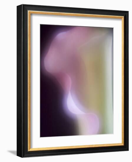 Artistic View of a Calla Lily in Fuquay Varina, North Carolina.-Melissa Southern-Framed Photographic Print