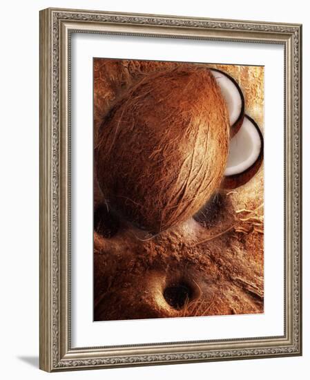 Artistically Arranged Still Life with Coconuts-Dieter Heinemann-Framed Photographic Print