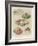 Artistically Served Ices-null-Framed Giclee Print