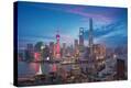 Stretched Canvas Print