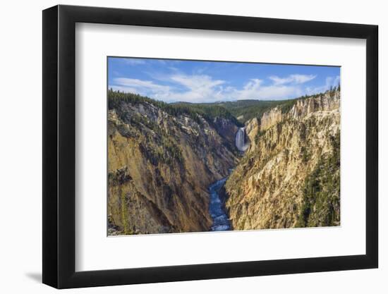 Artists Point Looking Towards Lower Falls, Grand Canyon, Yellowstone National Park, Wyoming, U.S.A.-Gary Cook-Framed Photographic Print