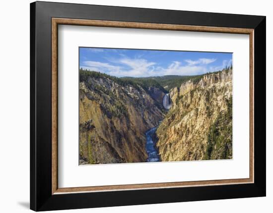 Artists Point Looking Towards Lower Falls, Grand Canyon, Yellowstone National Park, Wyoming, U.S.A.-Gary Cook-Framed Photographic Print