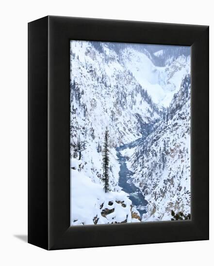 Artists Point of Grand Canyon Yellowstone in Winter, Yellowstone National Park, UNESCO World Herita-Kimberly Walker-Framed Premier Image Canvas