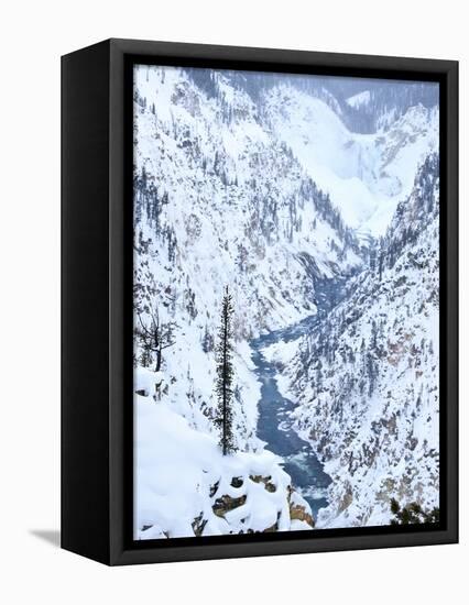 Artists Point of Grand Canyon Yellowstone in Winter, Yellowstone National Park, UNESCO World Herita-Kimberly Walker-Framed Premier Image Canvas