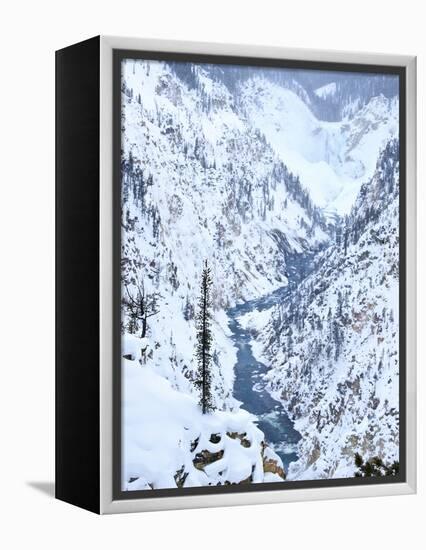 Artists Point of Grand Canyon Yellowstone in Winter, Yellowstone National Park, UNESCO World Herita-Kimberly Walker-Framed Premier Image Canvas