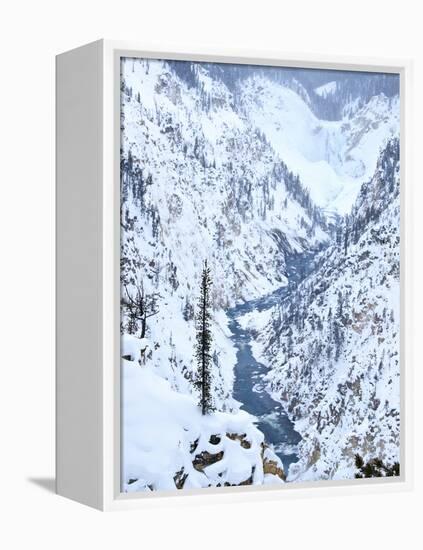 Artists Point of Grand Canyon Yellowstone in Winter, Yellowstone National Park, UNESCO World Herita-Kimberly Walker-Framed Premier Image Canvas