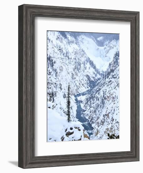 Artists Point of Grand Canyon Yellowstone in Winter, Yellowstone National Park, UNESCO World Herita-Kimberly Walker-Framed Photographic Print