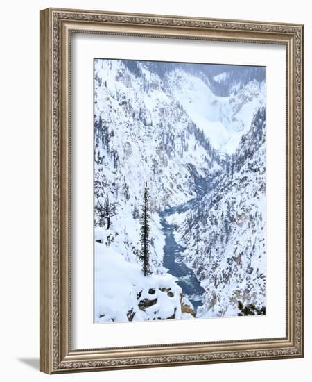 Artists Point of Grand Canyon Yellowstone in Winter, Yellowstone National Park, UNESCO World Herita-Kimberly Walker-Framed Photographic Print