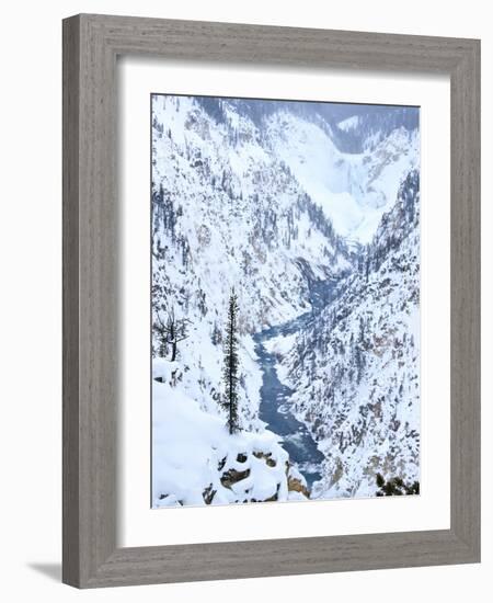 Artists Point of Grand Canyon Yellowstone in Winter, Yellowstone National Park, UNESCO World Herita-Kimberly Walker-Framed Photographic Print