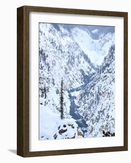 Artists Point of Grand Canyon Yellowstone in Winter, Yellowstone National Park, UNESCO World Herita-Kimberly Walker-Framed Photographic Print