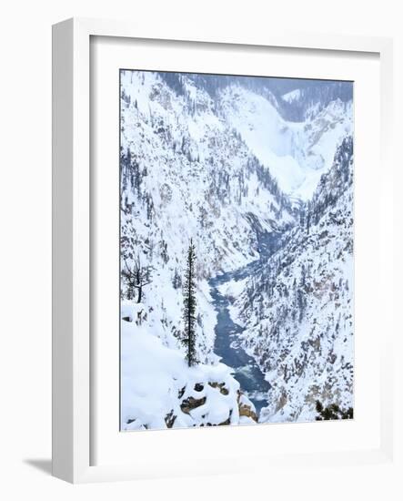 Artists Point of Grand Canyon Yellowstone in Winter, Yellowstone National Park, UNESCO World Herita-Kimberly Walker-Framed Photographic Print