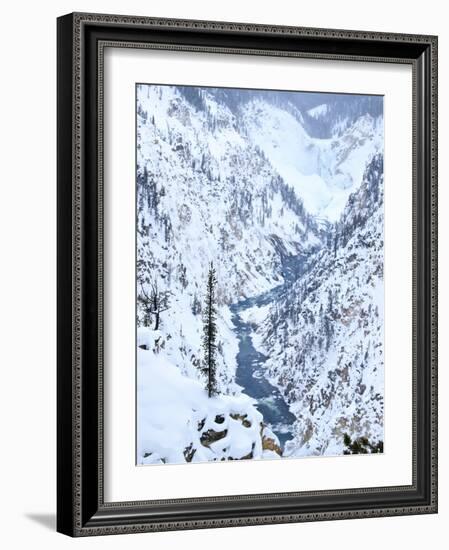 Artists Point of Grand Canyon Yellowstone in Winter, Yellowstone National Park, UNESCO World Herita-Kimberly Walker-Framed Photographic Print