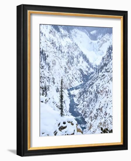 Artists Point of Grand Canyon Yellowstone in Winter, Yellowstone National Park, UNESCO World Herita-Kimberly Walker-Framed Photographic Print