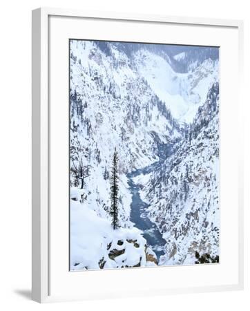 'Artists Point of Grand Canyon Yellowstone in Winter, Yellowstone