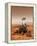 Artists Rendition of Mars Rover-Stocktrek Images-Framed Premier Image Canvas