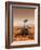 Artists Rendition of Mars Rover-Stocktrek Images-Framed Photographic Print