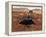 Artists Rendition of Mars Rover-Stocktrek Images-Framed Premier Image Canvas