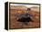 Artists Rendition of Mars Rover-Stocktrek Images-Framed Premier Image Canvas