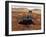 Artists Rendition of Mars Rover-Stocktrek Images-Framed Photographic Print