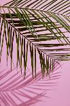 Pink Tropical-artjazz-Photographic Print