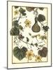 Arts and Crafts Gourd-M. P. Verneuil-Mounted Art Print