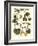 Arts and Crafts Gourd-M. P. Verneuil-Framed Art Print