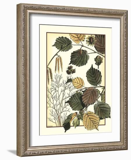 Arts and Crafts Hazelnut-M. P. Verneuil-Framed Art Print