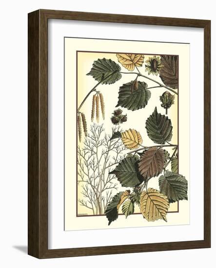 Arts and Crafts Hazelnut-M. P. Verneuil-Framed Art Print