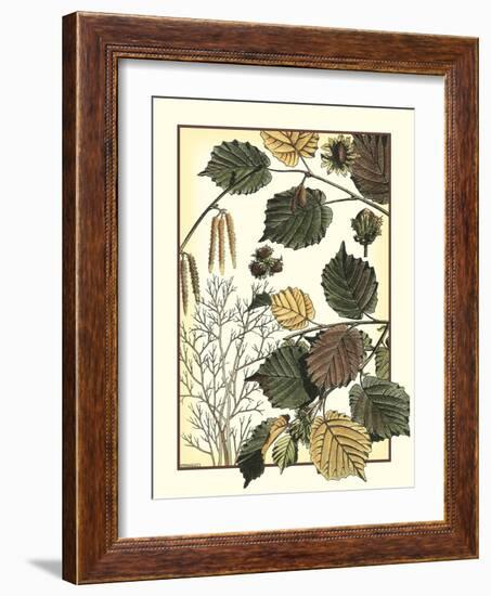 Arts and Crafts Hazelnut-M. P. Verneuil-Framed Art Print