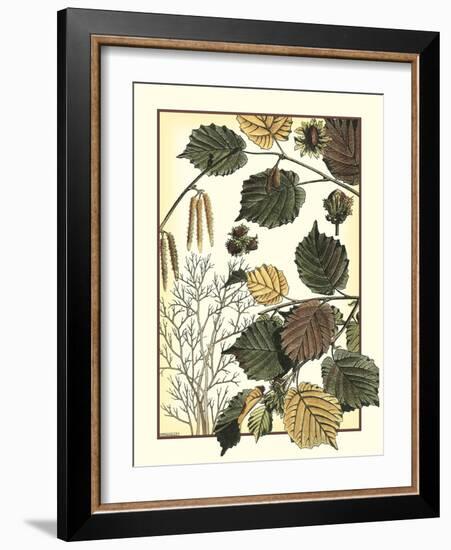 Arts and Crafts Hazelnut-M. P. Verneuil-Framed Art Print