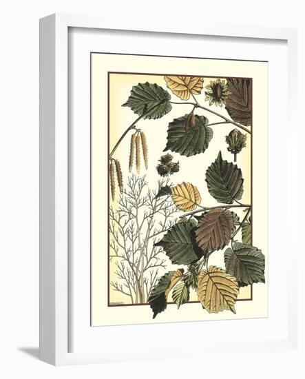 Arts and Crafts Hazelnut-M. P. Verneuil-Framed Art Print