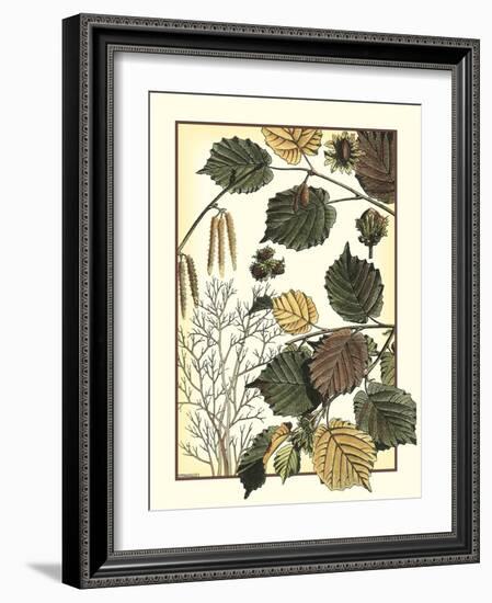 Arts and Crafts Hazelnut-M. P. Verneuil-Framed Art Print