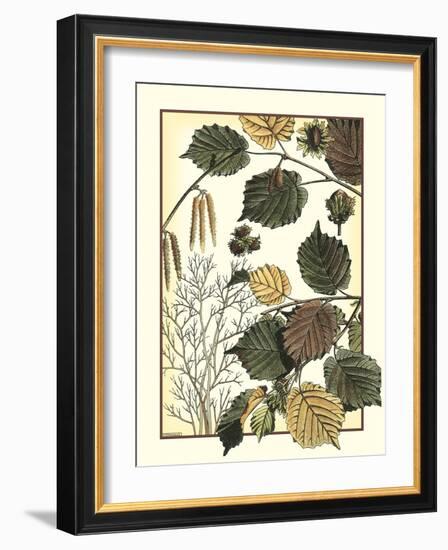 Arts and Crafts Hazelnut-M. P. Verneuil-Framed Art Print