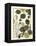 Arts and Crafts Hazelnut-M. P. Verneuil-Framed Stretched Canvas