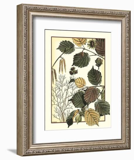 Arts and Crafts Hazelnut-M. P. Verneuil-Framed Art Print