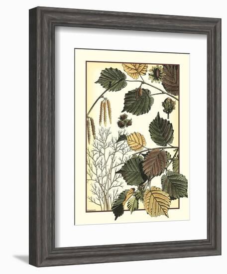 Arts and Crafts Hazelnut-M. P. Verneuil-Framed Art Print