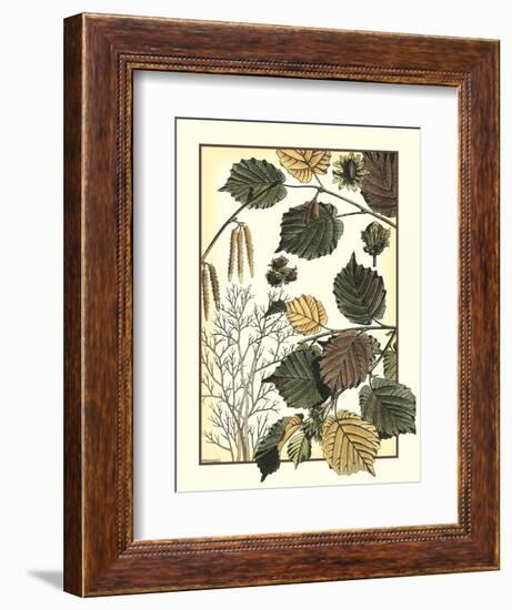 Arts and Crafts Hazelnut-M. P. Verneuil-Framed Art Print