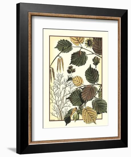 Arts and Crafts Hazelnut-M. P. Verneuil-Framed Art Print