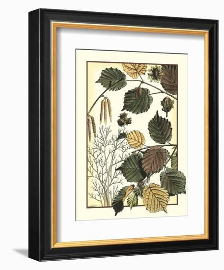 Arts and Crafts Hazelnut-M. P. Verneuil-Framed Art Print