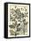 Arts and Crafts Oak-M.P. Verneuil-Framed Stretched Canvas