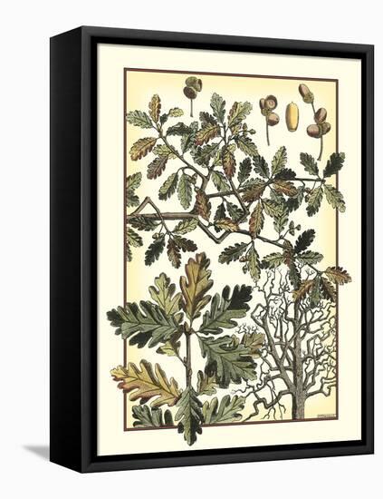 Arts and Crafts Oak-M.P. Verneuil-Framed Stretched Canvas